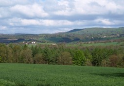 Countryside View