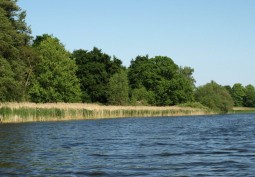 Lake / Pond