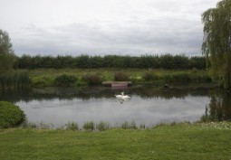 Lake / Pond