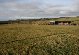 Fields