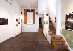 Stairway / Staircase