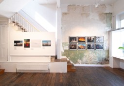 Gallery /Museum, Gallery