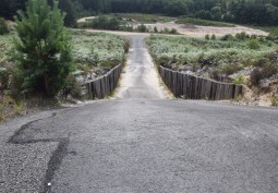 Road / Street