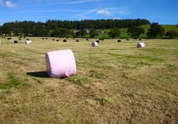 Fields at Sheep Farm With Equestrian Centre For Filming, County Durham