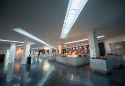 Shop