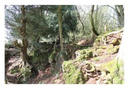 Cliff / Rockface at Inspiring Quarry And Rock Formations To Film Music Videos, Fashion Shoots, And More, Gloucestershire