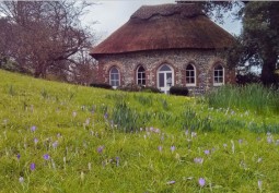 House / Cottage