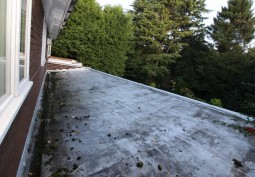 Rooftop