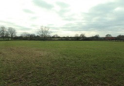 Field (Meadow)
