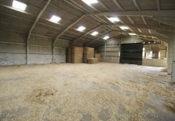 Warehouse (Scruffy)