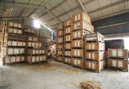Warehouse (Medium)
