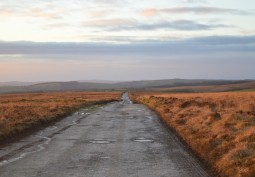 Road / Street at Working Farm With Woodland, Quarry, River For Filming, Carmarthenshire
