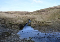 Water resources, Stream at Working Farm With Woodland, Quarry, River For Filming, Carmarthenshire