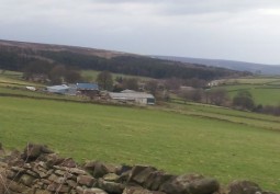 Farm