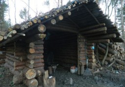 Wood, Hut at Woodland with Log Cabin for Filming, County Durham
