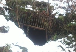 Tunnel at Woodland with Log Cabin for Filming, County Durham