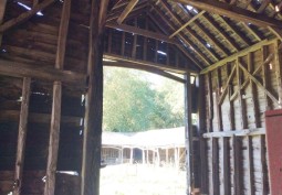 Barn
