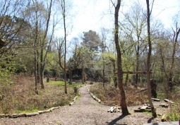 Woodland