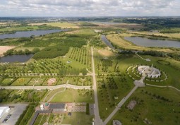 Green, Natural environment at Manicured Arboretum For Filming, Staffordshire
