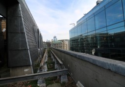 Rooftop