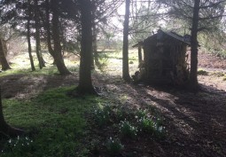 Shed at 75 Acre Woodland And Barns In Stirling For Filming, Stirlingshire