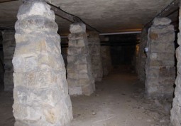 Cellar / Crypt