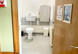 Toilet, Disability Features