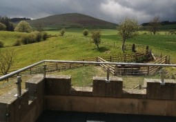 Countryside View
