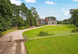 Driveway, Garden (Rear, Large)