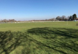 Field (Sports)