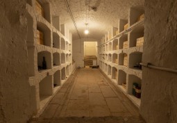 Cellar / Crypt