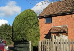 Terrace House at Open Plan One Bedroom Home For Filming, Middlesex