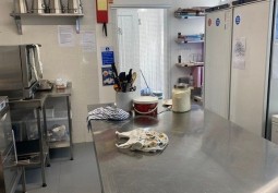 Cafe, Commercial Kitchen