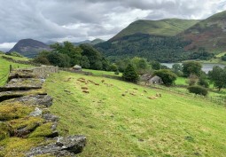 Lake / Pond, Farm at Working Farm for Filming, Cumbria