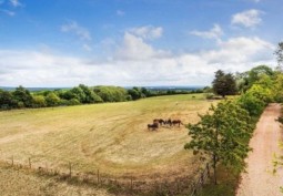 Road, Equestrian