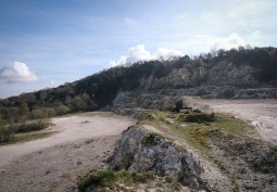 Derelict, Quarry
