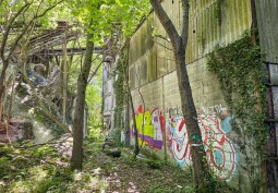 Graffiti