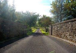 Road
