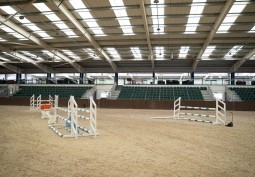 Arena