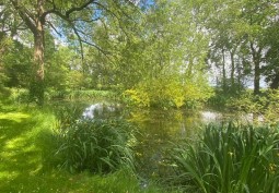 Lake / Pond