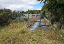 Shrub, Wire Fencing at Derelict Building On Land For Filming, Northern Ireland