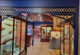 Gallery /Museum
