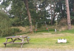 Tree, Land lot at Barn Conversion In Wales For Filming, Powys