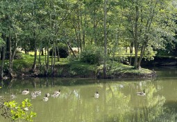 Lake / Pond at Mobile Home For Filming, Nottinghamshire