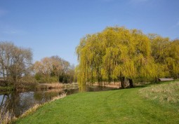 Lake / Pond at Luxury Shepard's Hut With Private River For Filming, Worcestershire
