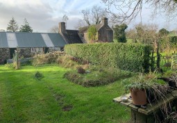 Plants, Shrub at Rural Farm House For Filming, Northern Ireland