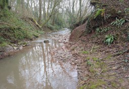 River / Stream