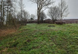 Fields