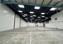 Warehouse (Light)