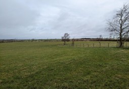 Field (Farmland) at Bungalow With Farmland For Filming, Northumberland